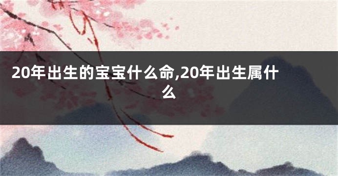 20年出生的宝宝什么命,20年出生属什么
