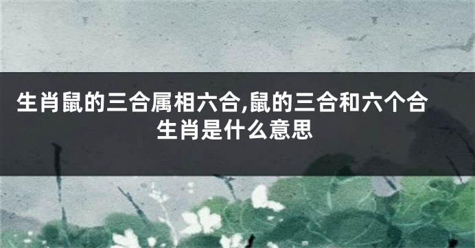 生肖鼠的三合属相六合,鼠的三合和六个合生肖是什么意思
