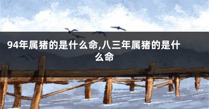 94年属猪的是什么命,八三年属猪的是什么命