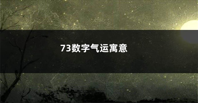73数字气运寓意