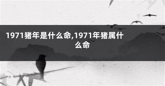 1971猪年是什么命,1971年猪属什么命