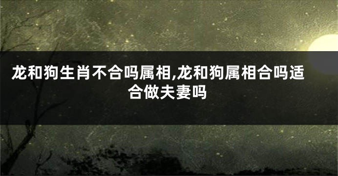 龙和狗生肖不合吗属相,龙和狗属相合吗适合做夫妻吗