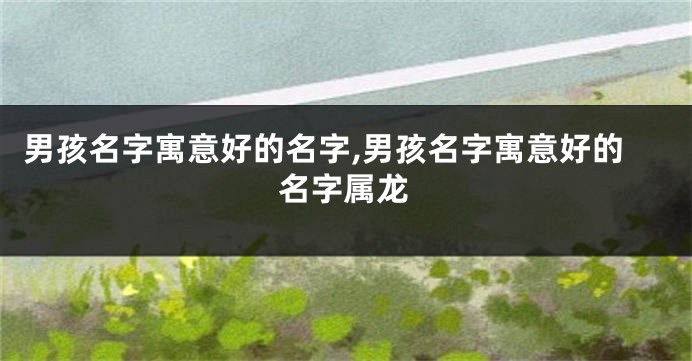 男孩名字寓意好的名字,男孩名字寓意好的名字属龙