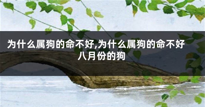 为什么属狗的命不好,为什么属狗的命不好八月份的狗