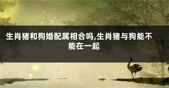 生肖猪和狗婚配属相合吗,生肖猪与狗能不能在一起