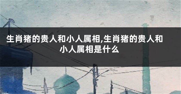 生肖猪的贵人和小人属相,生肖猪的贵人和小人属相是什么