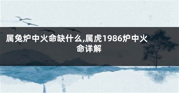 属兔炉中火命缺什么,属虎1986炉中火命详解