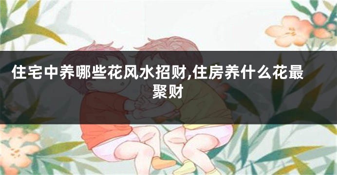 住宅中养哪些花风水招财,住房养什么花最聚财