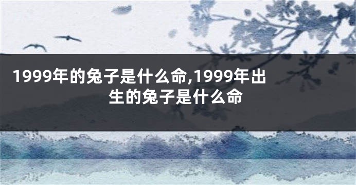 1999年的兔子是什么命,1999年出生的兔子是什么命