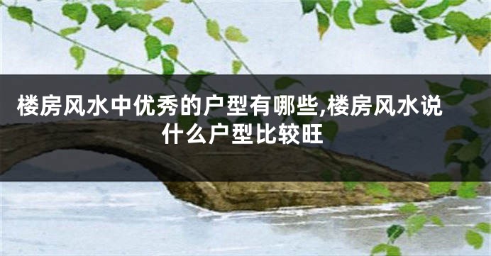 楼房风水中优秀的户型有哪些,楼房风水说什么户型比较旺
