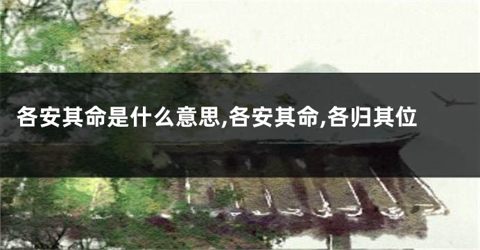 各安其命是什么意思,各安其命,各归其位