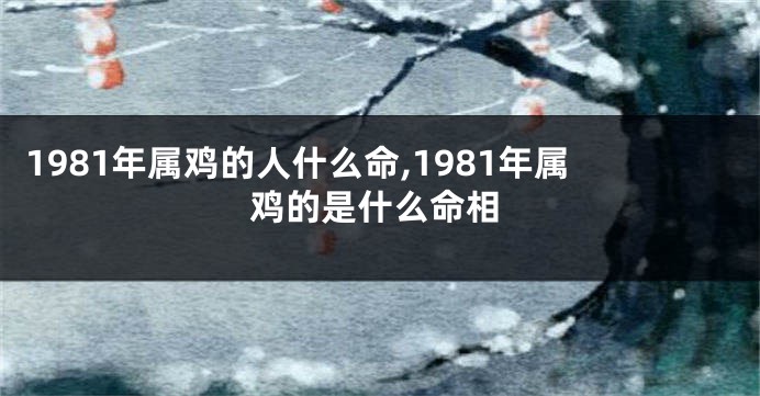 1981年属鸡的人什么命,1981年属鸡的是什么命相