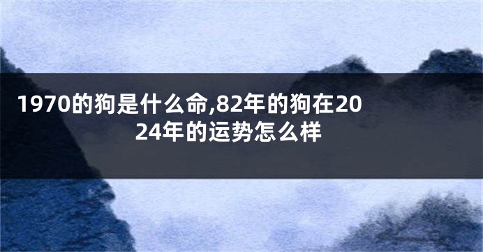 1970的狗是什么命,82年的狗在2024年的运势怎么样