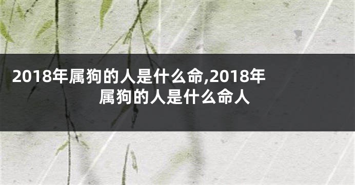 2018年属狗的人是什么命,2018年属狗的人是什么命人