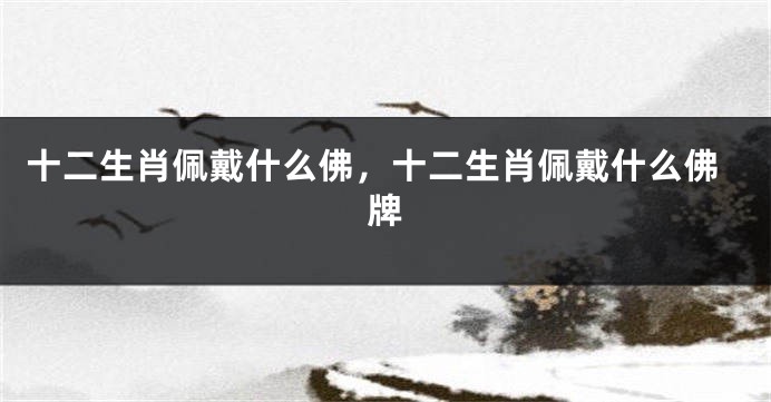 十二生肖佩戴什么佛，十二生肖佩戴什么佛牌