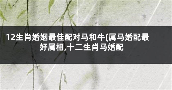 12生肖婚姻最佳配对马和牛(属马婚配最好属相,十二生肖马婚配