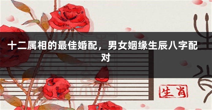 十二属相的最佳婚配，男女姻缘生辰八字配对