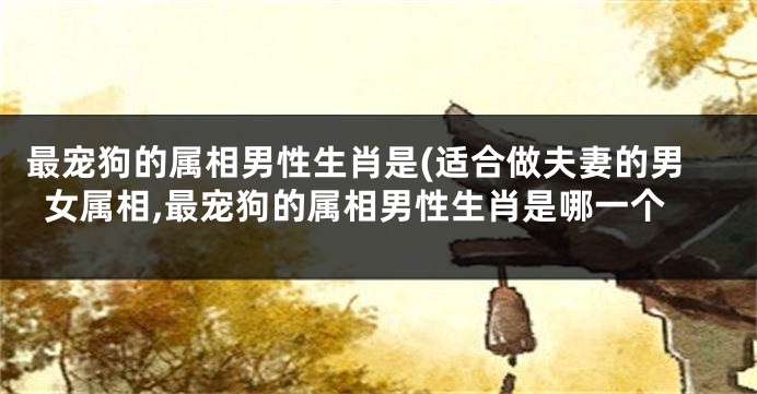 最宠狗的属相男性生肖是(适合做夫妻的男女属相,最宠狗的属相男性生肖是哪一个