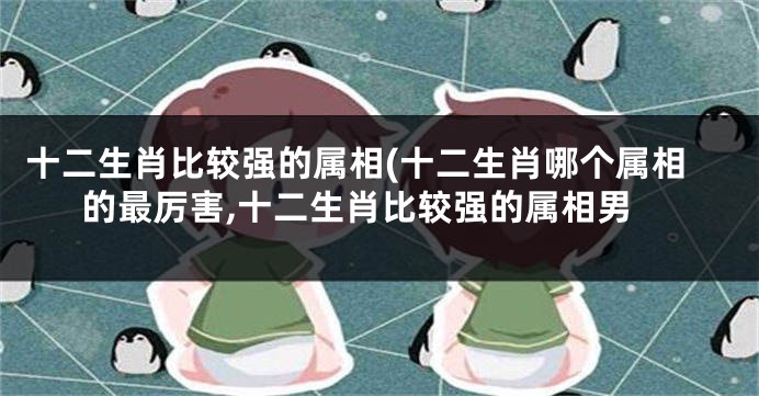 十二生肖比较强的属相(十二生肖哪个属相的最厉害,十二生肖比较强的属相男