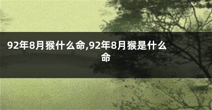 92年8月猴什么命,92年8月猴是什么命