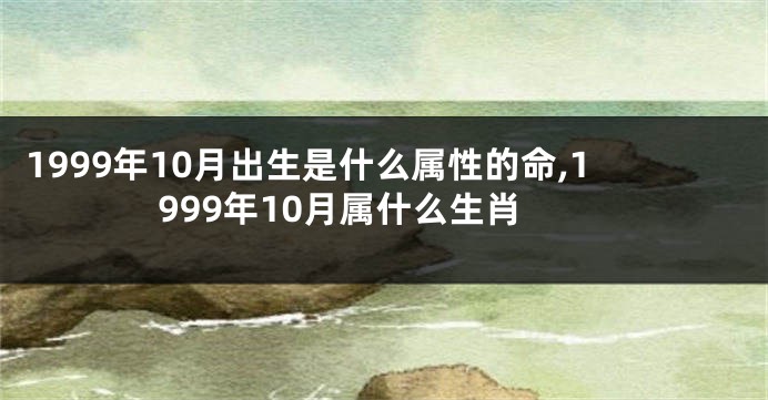 1999年10月出生是什么属性的命,1999年10月属什么生肖