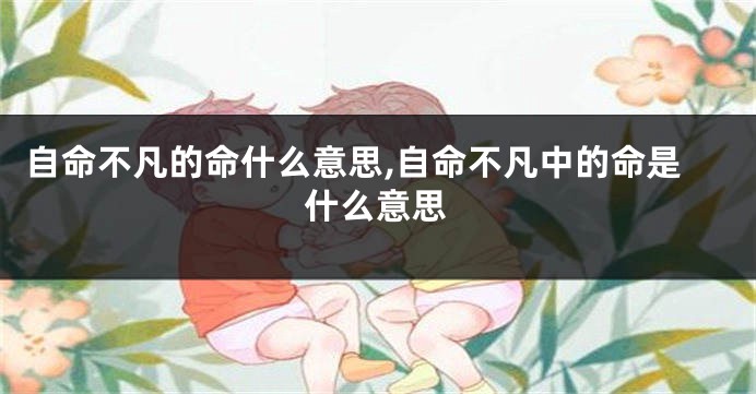 自命不凡的命什么意思,自命不凡中的命是什么意思