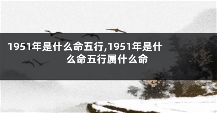 1951年是什么命五行,1951年是什么命五行属什么命