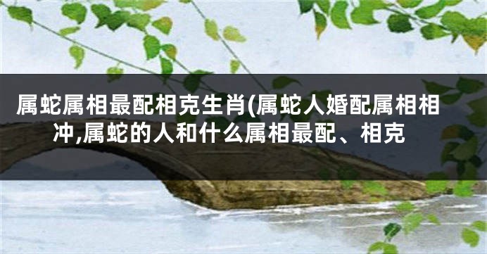 属蛇属相最配相克生肖(属蛇人婚配属相相冲,属蛇的人和什么属相最配、相克