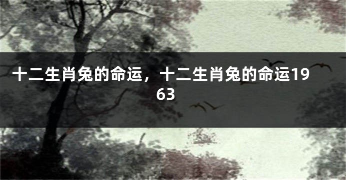 十二生肖兔的命运，十二生肖兔的命运1963