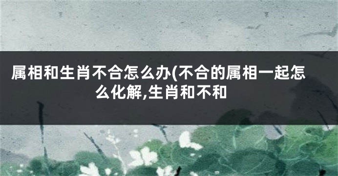 属相和生肖不合怎么办(不合的属相一起怎么化解,生肖和不和