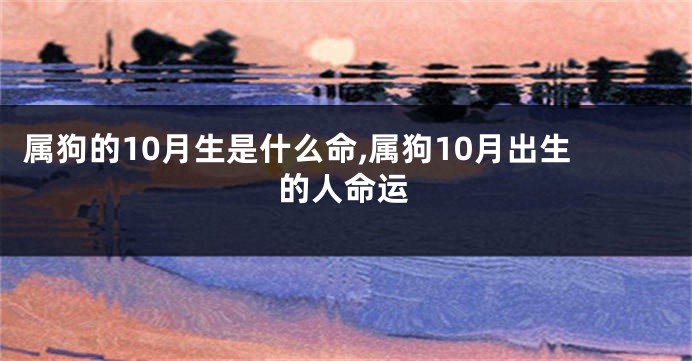 属狗的10月生是什么命,属狗10月出生的人命运
