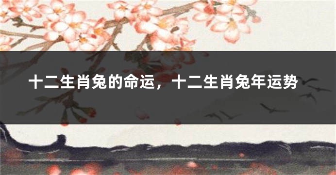 十二生肖兔的命运，十二生肖兔年运势