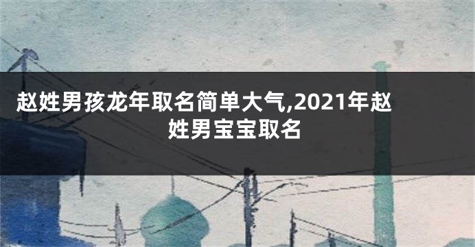 赵姓男孩龙年取名简单大气,2021年赵姓男宝宝取名
