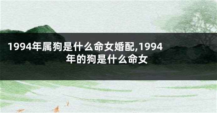 1994年属狗是什么命女婚配,1994年的狗是什么命女