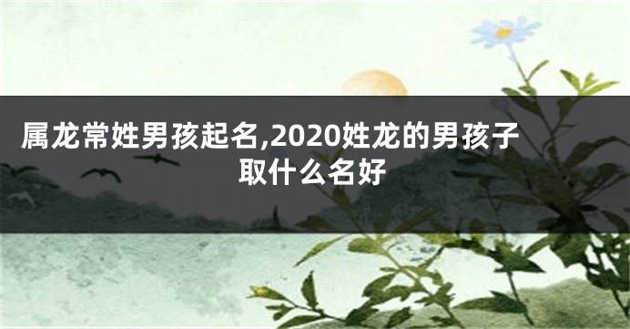 属龙常姓男孩起名,2020姓龙的男孩子取什么名好