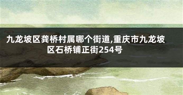 九龙坡区龚桥村属哪个街道,重庆市九龙坡区石桥铺正街254号