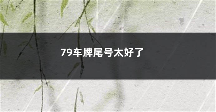 79车牌尾号太好了