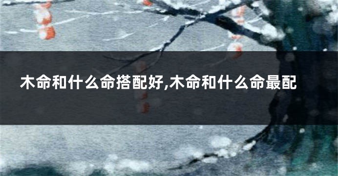 木命和什么命搭配好,木命和什么命最配