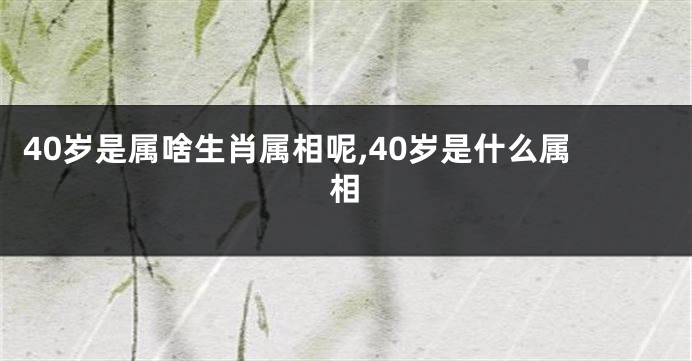 40岁是属啥生肖属相呢,40岁是什么属相