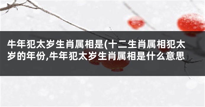 牛年犯太岁生肖属相是(十二生肖属相犯太岁的年份,牛年犯太岁生肖属相是什么意思