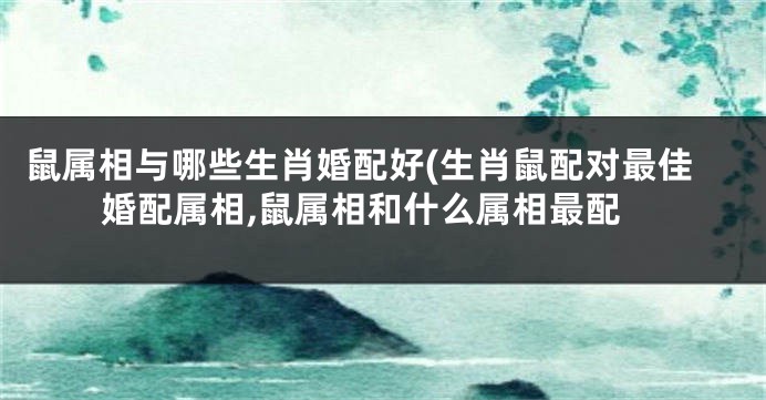 鼠属相与哪些生肖婚配好(生肖鼠配对最佳婚配属相,鼠属相和什么属相最配