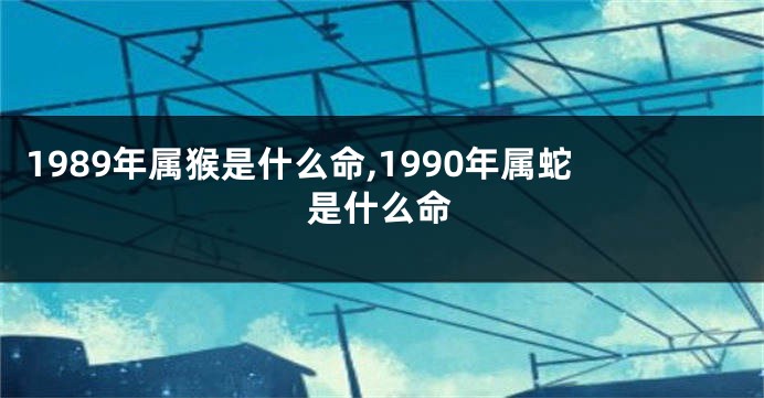 1989年属猴是什么命,1990年属蛇是什么命