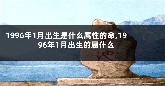 1996年1月出生是什么属性的命,1996年1月出生的属什么