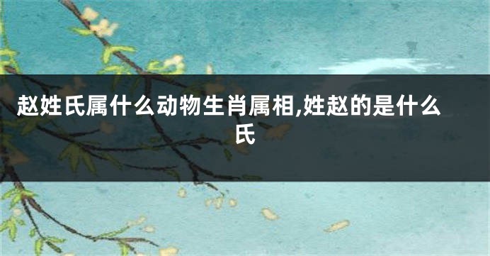 赵姓氏属什么动物生肖属相,姓赵的是什么氏