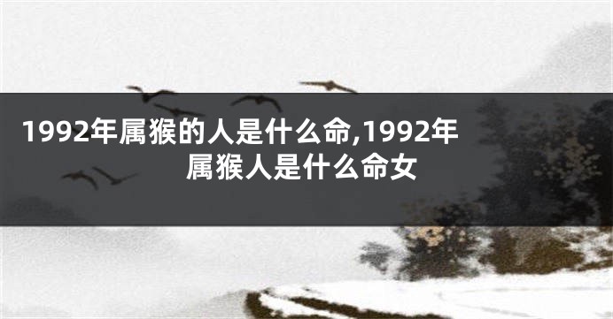 1992年属猴的人是什么命,1992年属猴人是什么命女