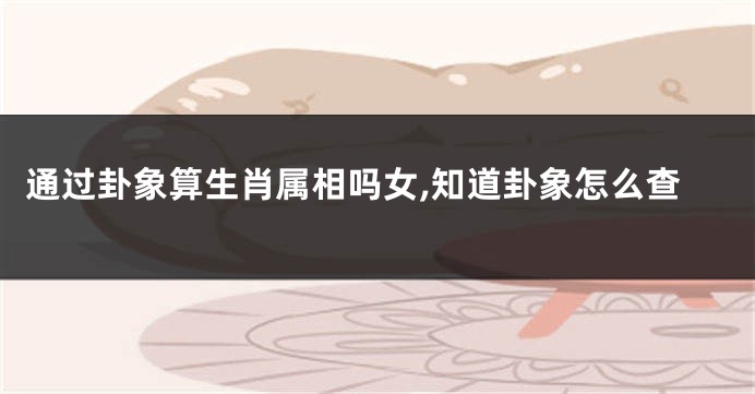 通过卦象算生肖属相吗女,知道卦象怎么查