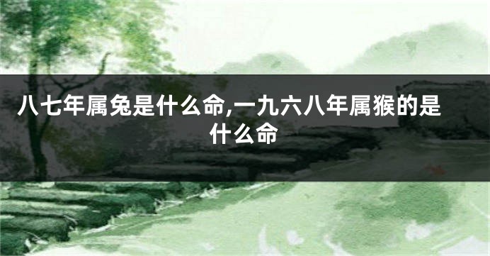八七年属兔是什么命,一九六八年属猴的是什么命