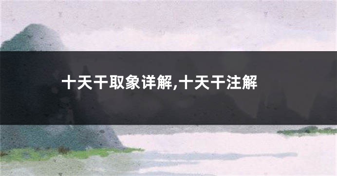 十天干取象详解,十天干注解