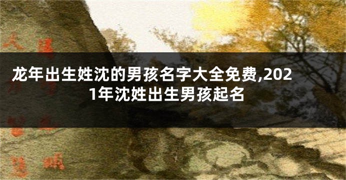 龙年出生姓沈的男孩名字大全免费,2021年沈姓出生男孩起名