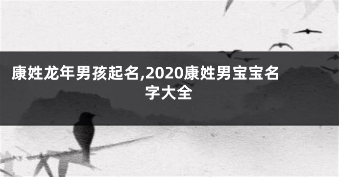 康姓龙年男孩起名,2020康姓男宝宝名字大全